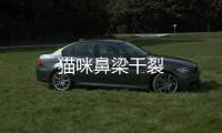 貓咪鼻梁干裂
