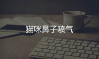 貓咪鼻子噴氣