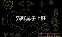 貓咪鼻子上臟