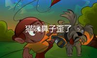 貓咪鼻子歪了