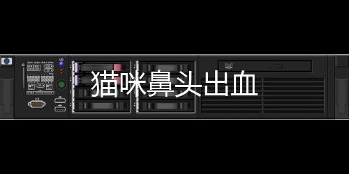 貓咪鼻頭出血