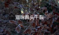 貓咪鼻頭干裂