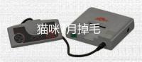 貓咪7月掉毛