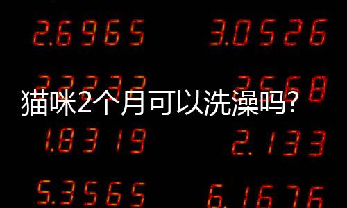 貓咪2個月可以洗澡嗎?(小貓養多久才認主人?)