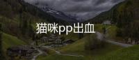 貓咪pp出血