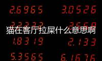 貓在客廳拉屎什么意思啊？貓在客廳拉一顆屎