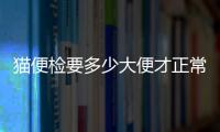 貓便檢要多少大便才正常  貓咪便常規(guī)多少錢