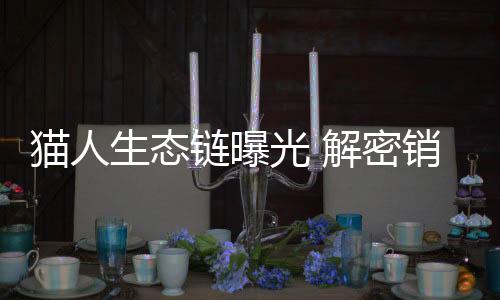 貓人生態(tài)鏈曝光 解密銷量猛增27倍的秘密