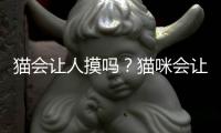 貓會讓人摸嗎？貓咪會讓主人摸孩子嗎