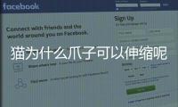 貓為什么爪子可以伸縮呢？貓為什么爪子可以伸縮起來