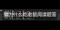 貓為什么吃老鼠閱讀題答案（貓為什么吃老鼠）