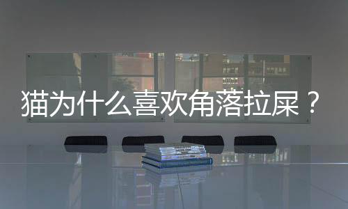 貓為什么喜歡角落拉屎？貓為什么喜歡在角落面壁