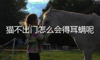 貓不出門怎么會得耳螨呢？貓不出門怎么會得耳螨病