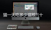 貓一天吃多少貓糧?(十五斤的貓一天吃多少)