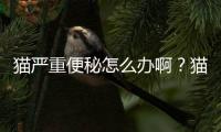 貓嚴重便秘怎么辦啊？貓貓便秘怎么辦