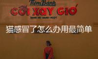 貓感冒了怎么辦用最簡單的方法(貓感冒流黃鼻涕用什么藥)