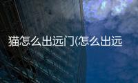 貓怎么出遠門(怎么出遠門最省錢)