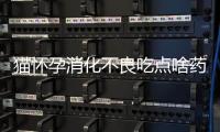 貓懷孕消化不良吃點啥藥(懷孕消化不良可以吃益生菌嗎)
