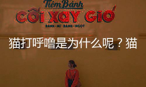 貓打呼嚕是為什么呢？貓打呼嚕為什么呀