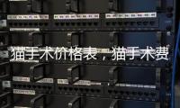 貓手術(shù)價(jià)格表，貓手術(shù)費(fèi)用