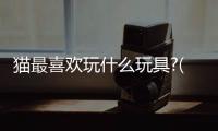 貓最喜歡玩什么玩具?(貓最喜歡什么東西玩具)