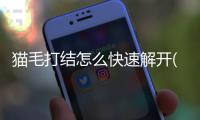 貓毛打結怎么快速解開(貓毛打結成一坨硬硬的連著肉)