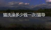 貓洗澡多少錢一次(貓導尿多少錢一次)