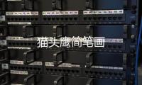 貓頭鷹簡筆畫