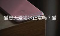 貓夏天愛喝水正常嗎？貓夏天能喝冰水嗎