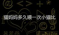 貓媽媽多久喂一次小貓比較好，貓媽媽多久喂一次小貓糧