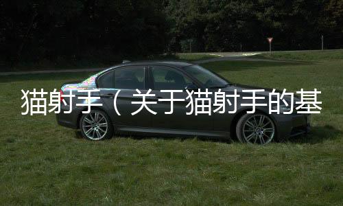 貓射手（關于貓射手的基本情況說明介紹）
