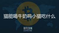 貓能喝牛奶嗎小貓吃什么，貓能喝牛奶嗎