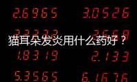 貓耳朵發炎用什么藥好？貓 耳朵發炎用什么藥好使