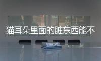 貓耳朵里面的臟東西能不能洗(小貓耳朵里面很臟可以掏嗎)
