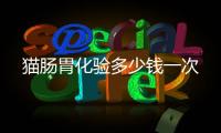 貓腸胃化驗多少錢一次