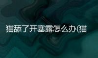 貓舔了開塞露怎么辦(貓依賴開塞露怎么辦)