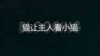 貓讓主人看小貓