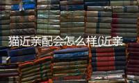 貓近親配會怎么樣(近親狗生的狗狗會怎么樣)