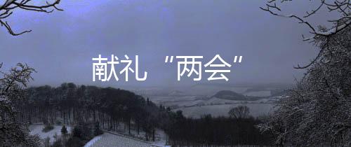 獻禮“兩會”