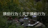 猥褻行為（關于猥褻行為的基本情況說明介紹）
