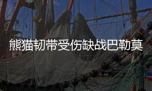 熊貓韌帶受傷缺戰(zhàn)巴勒莫 貝帥為求一勝恐效仿曼奇尼