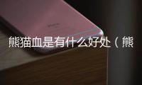 熊貓血是有什么好處（熊貓血有什么好處）