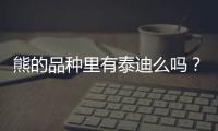 熊的品種里有泰迪么嗎？熊的品種里有泰迪么嘛