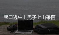 熊口逃生！男子上山采菌被熊咬掉一半鼻子，狂奔5公里獲救