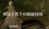 熊孩子吞下40顆磁鐵珠  醫(yī)生緊急搶救