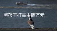 熊孩子打賞主播萬元  只為取得其開心