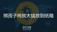 熊孩子將放大鏡放到紙箱上引起火災：燒了半個家