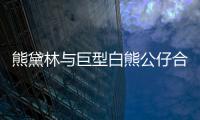 熊黛林與巨型白熊公仔合影 小鳥(niǎo)依人【娛樂(lè)新聞】風(fēng)尚中國(guó)網(wǎng)