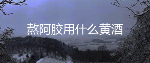 熬阿膠用什么黃酒