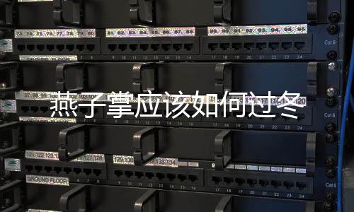 燕子掌應該如何過冬